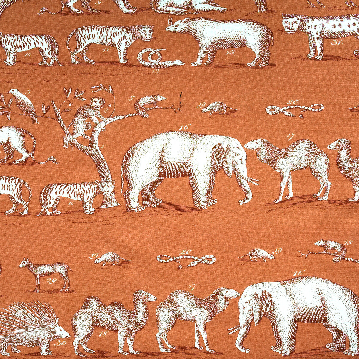 Kingdom Outdoor-Lava