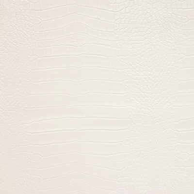 Kravet Design-Ankora-101