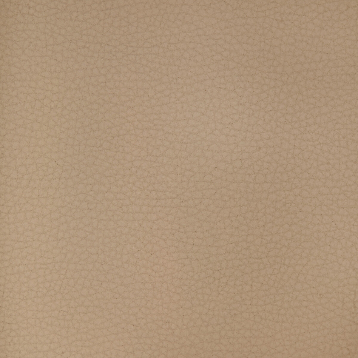 Kravet Design-Areni-1101