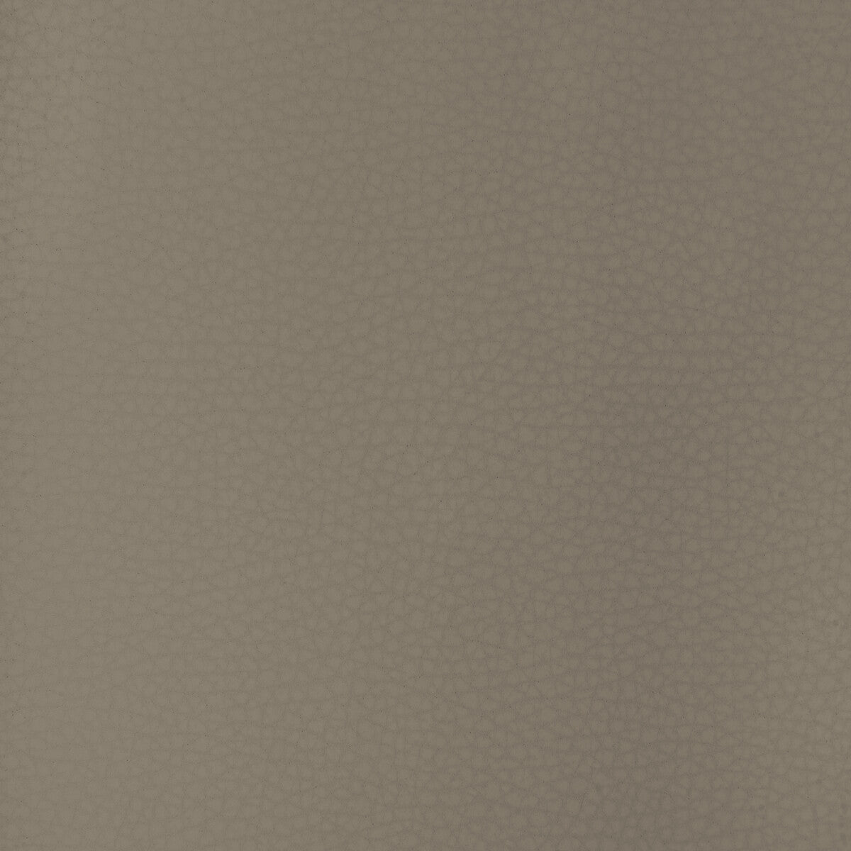 Kravet Design-Areni-11