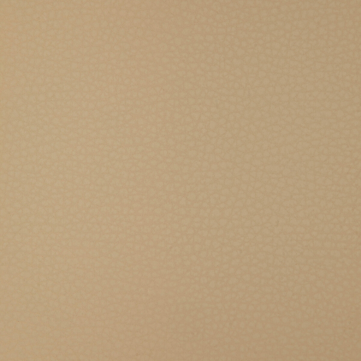 Kravet Design-Areni-16