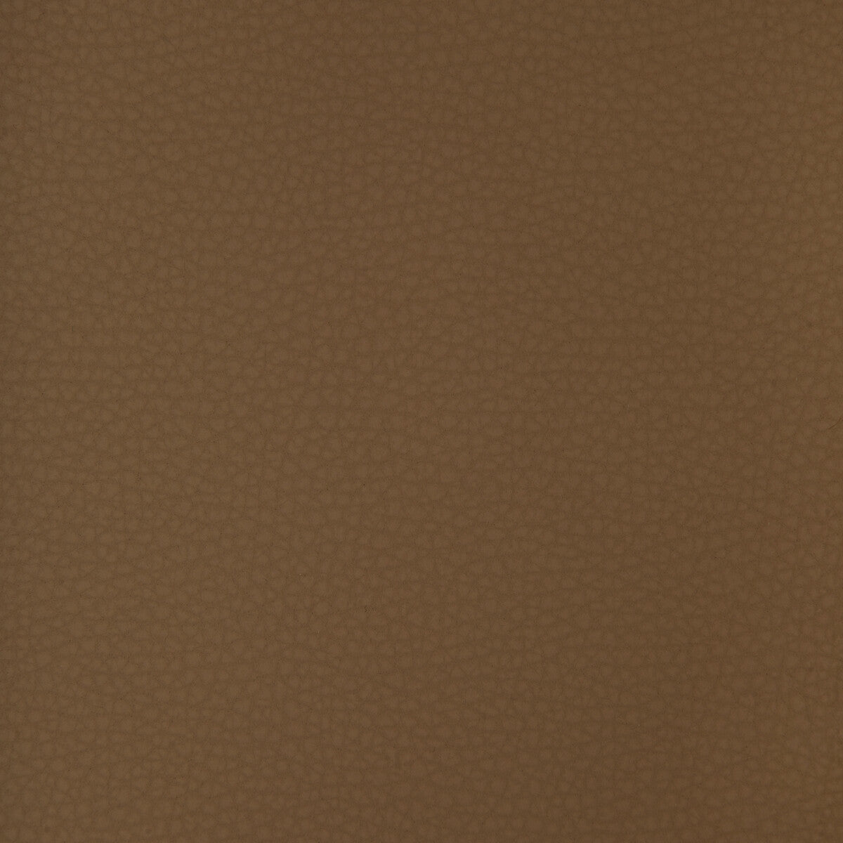 Kravet Design-Areni-6