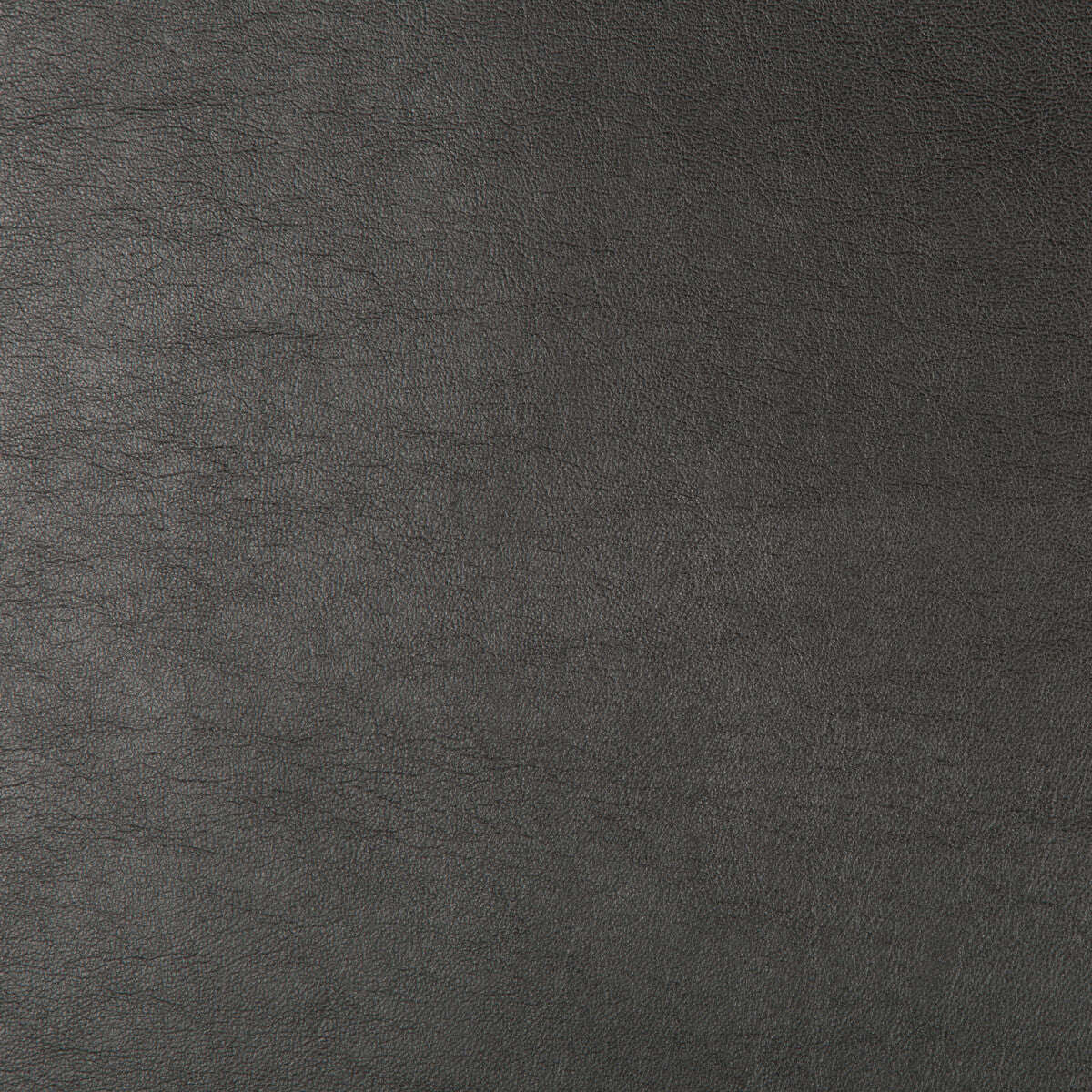 Kravet Design-Aristides-821