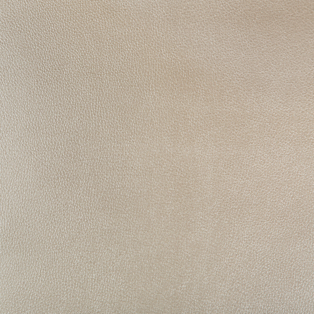 Kravet Design-Azeri-16