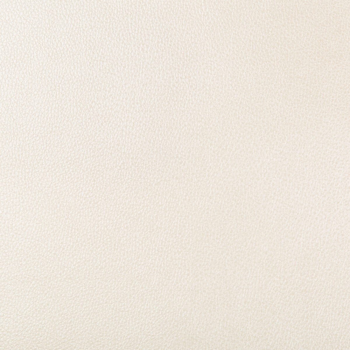 Kravet Design-Azeri-1