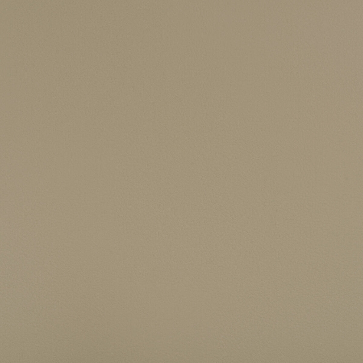 Kravet Design-Beech-106