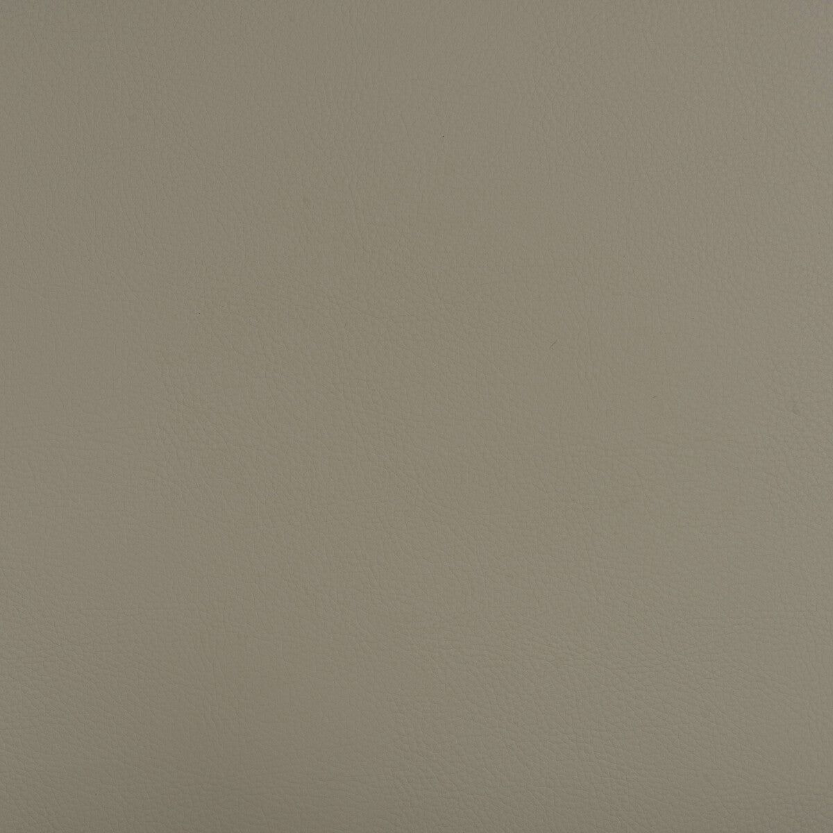 Kravet Design-Beech-1101