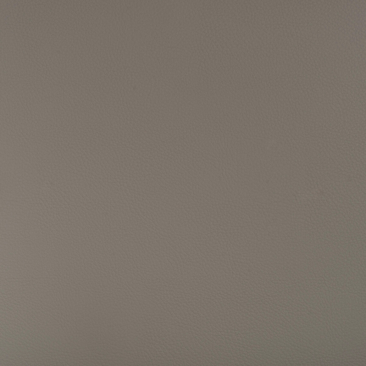 Kravet Design-Beech-11