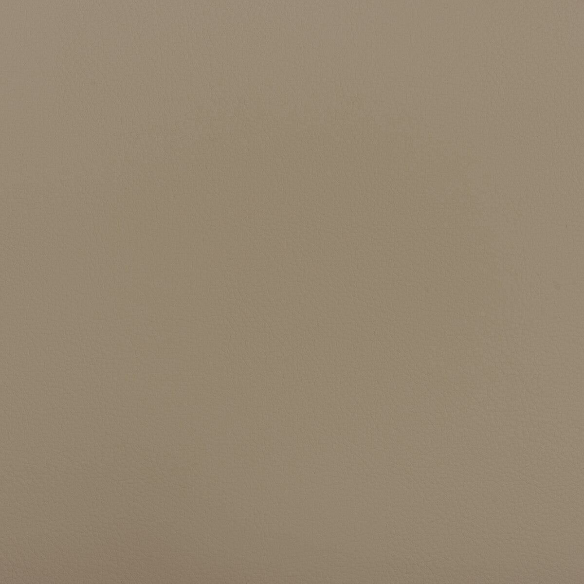 Kravet Design-Beech-121