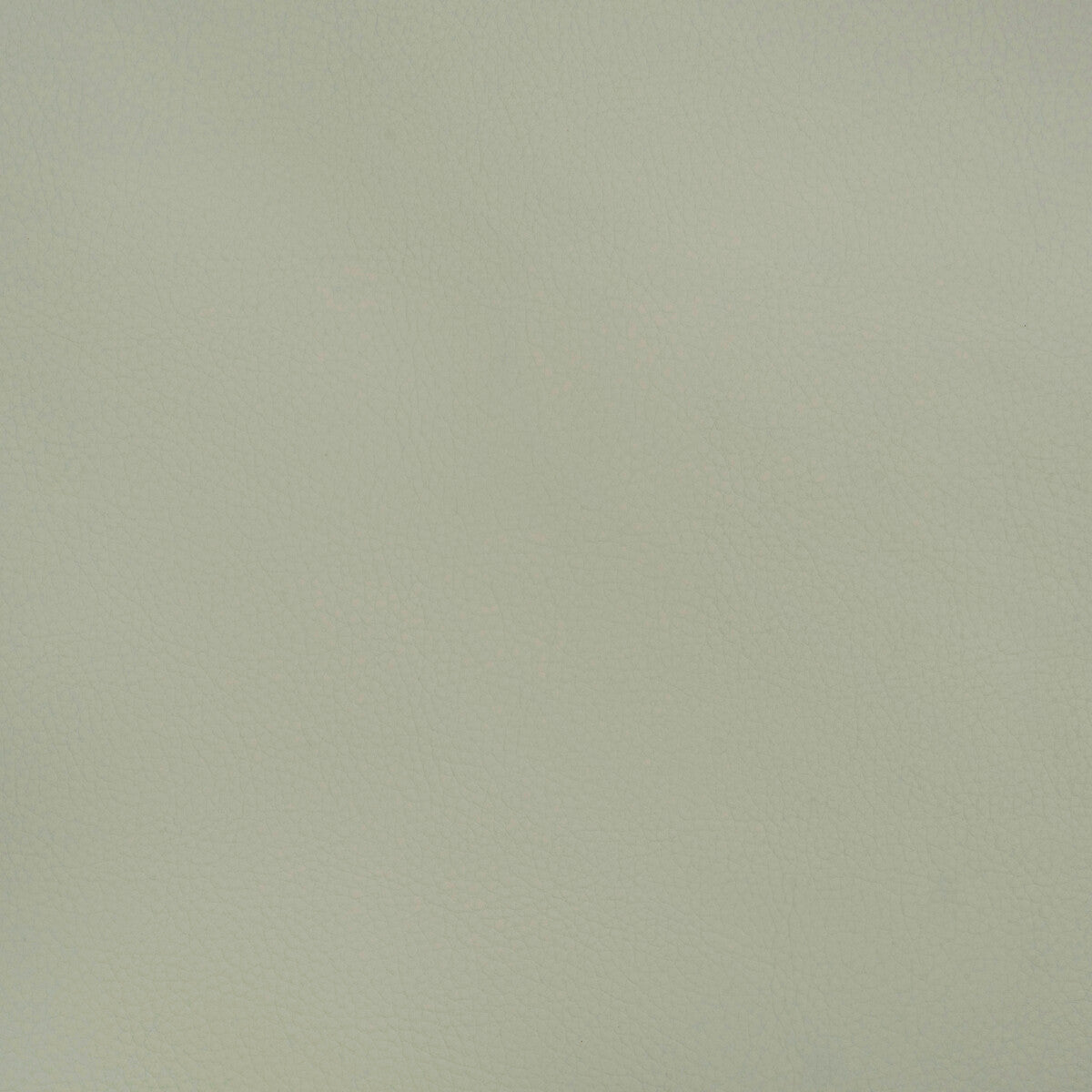 Kravet Design-Beech-1511