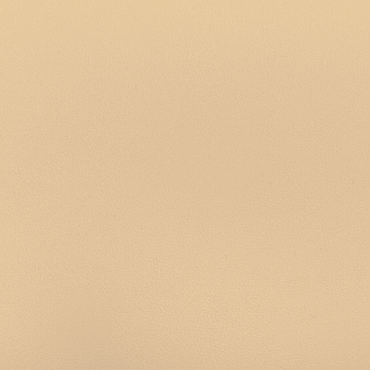 Kravet Design-Beech-16