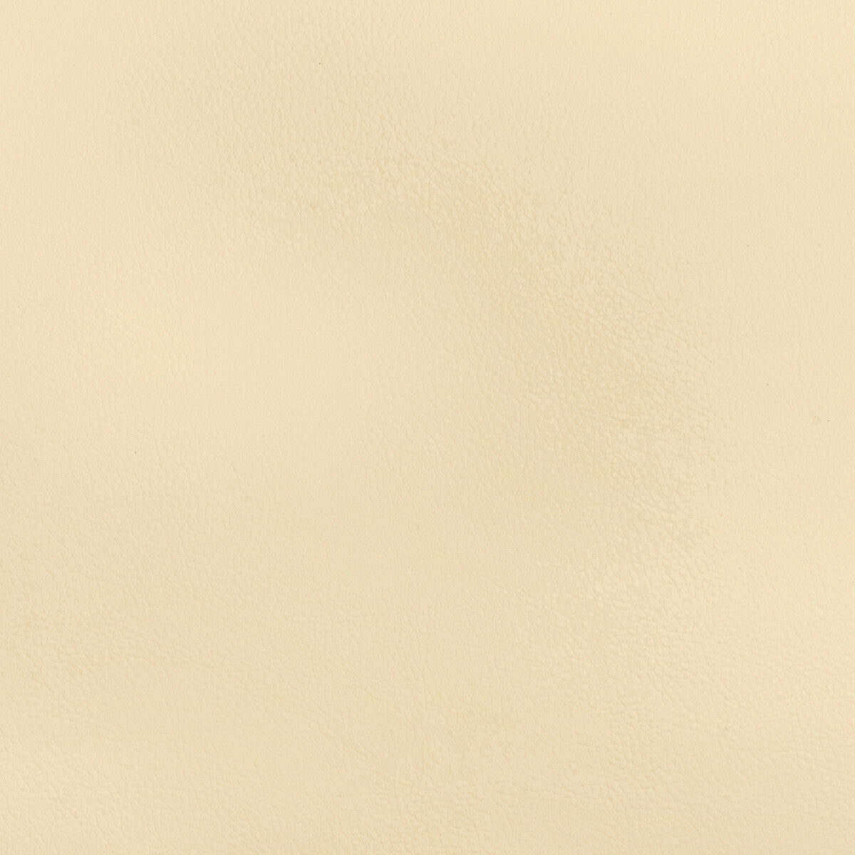 Kravet Design-Beech-1