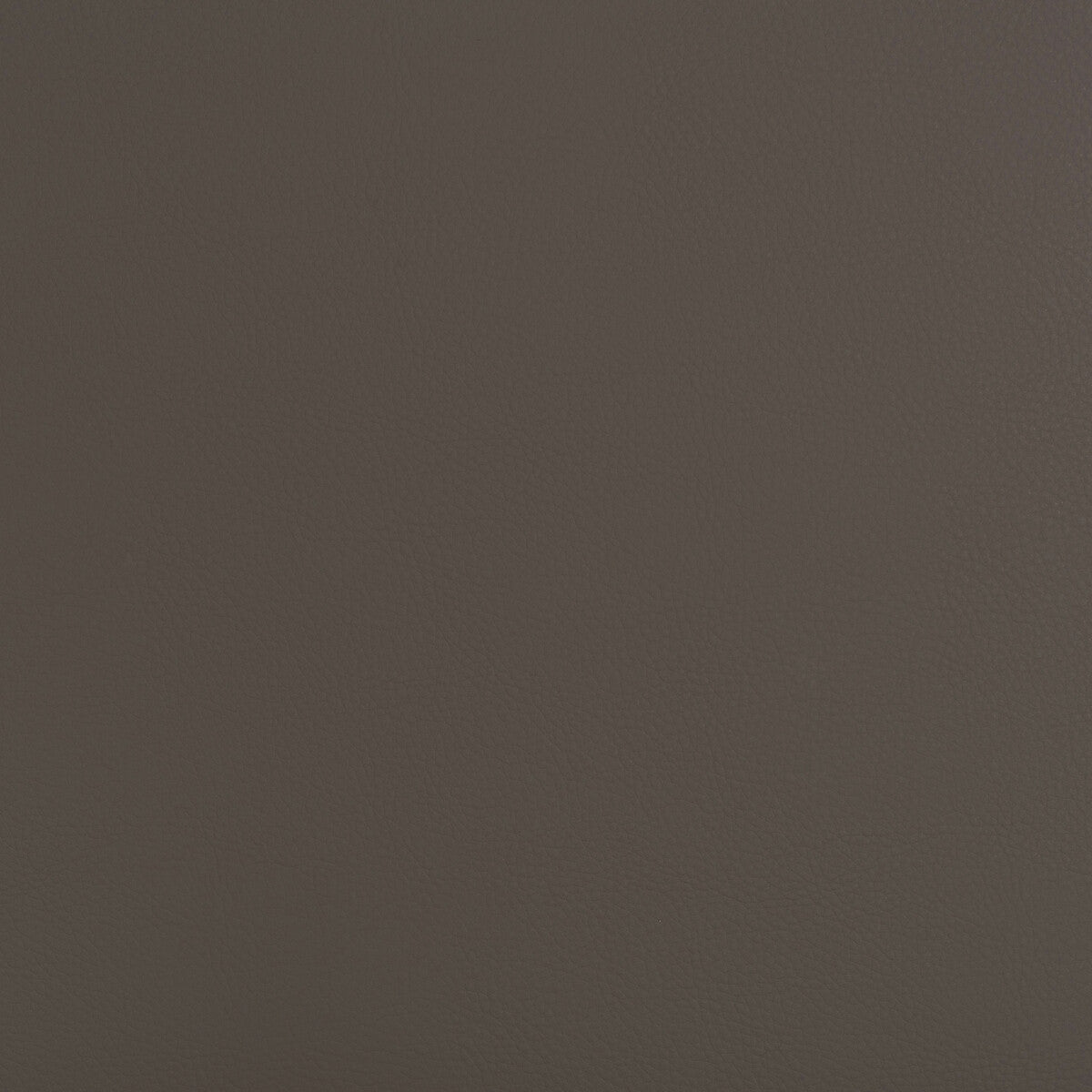 Kravet Design-Beech-21