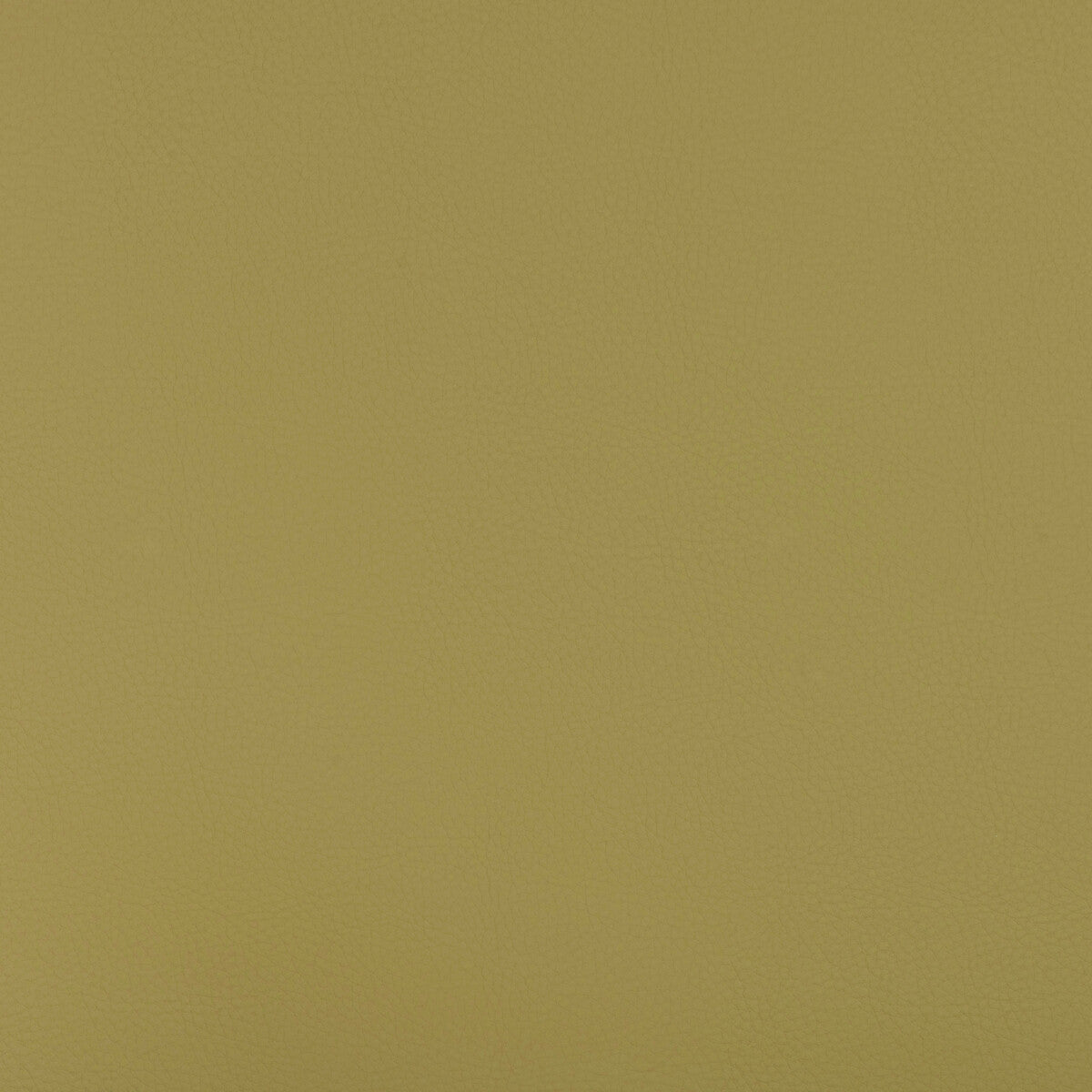 Kravet Design-Beech-23