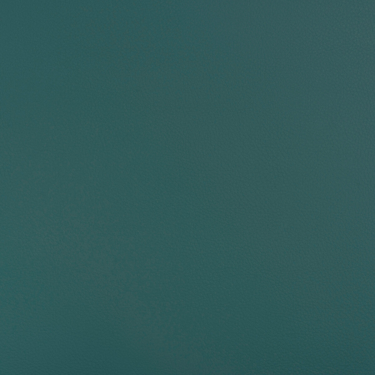 Kravet Design-Beech-35