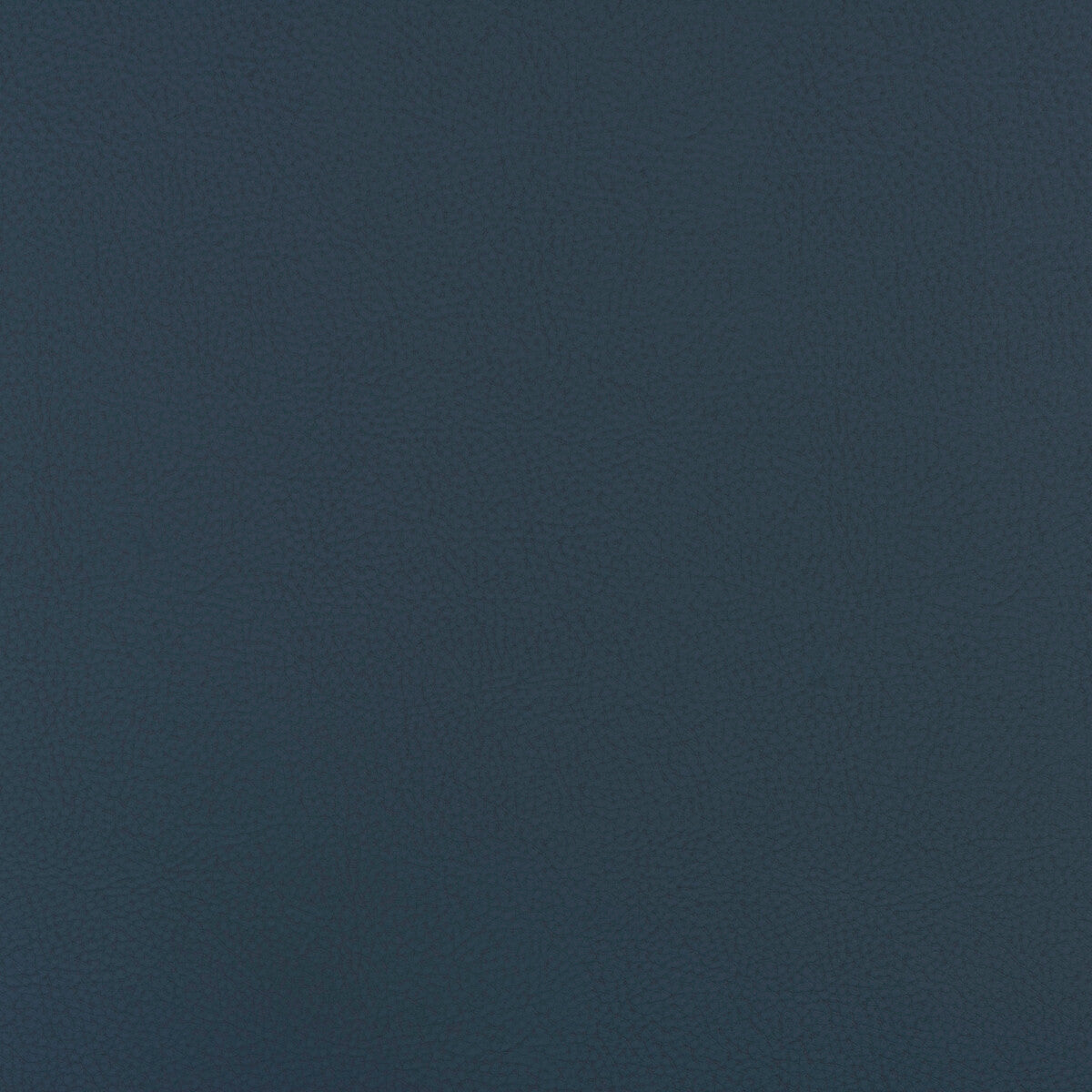 Kravet Design-Beech-55