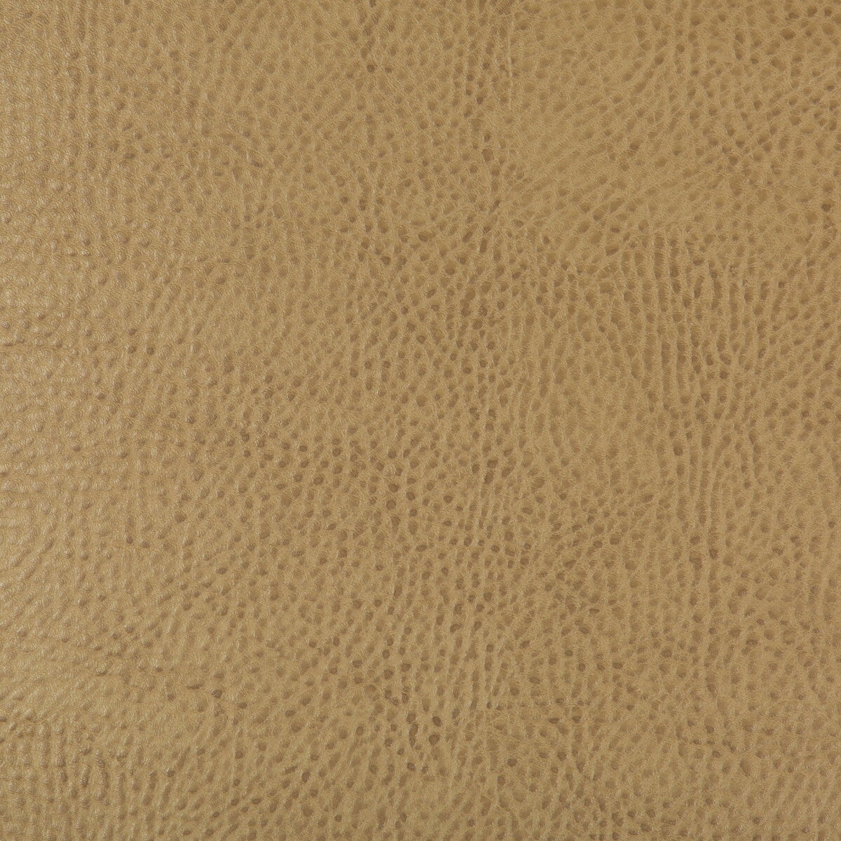 Kravet Design-Beholder-16