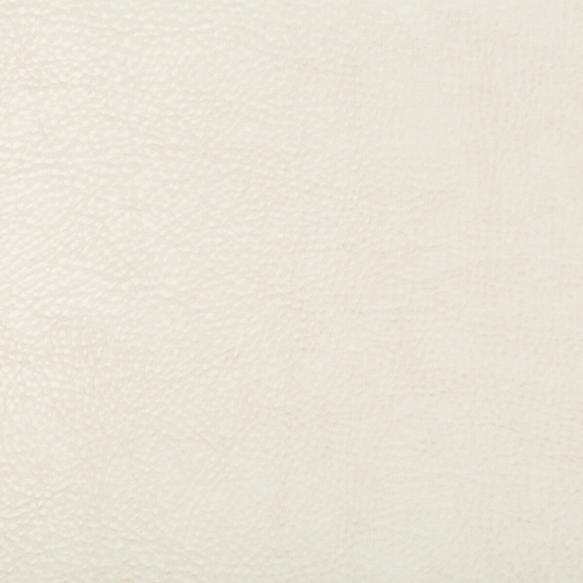 Kravet Design-Beholder-1