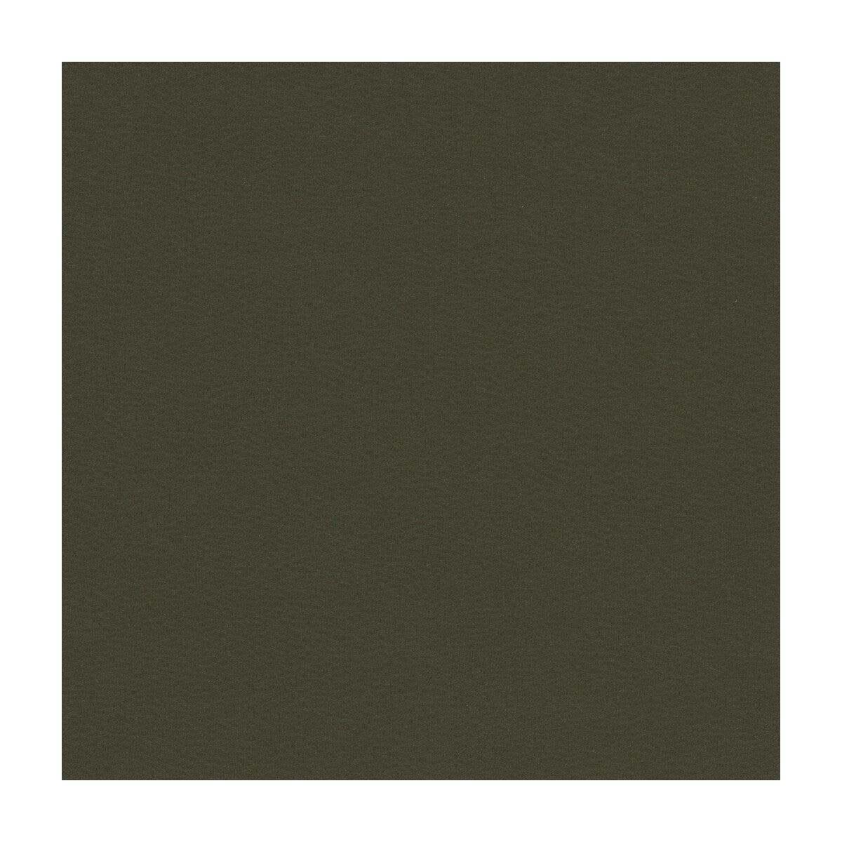 Kravet Contract-Berta-21