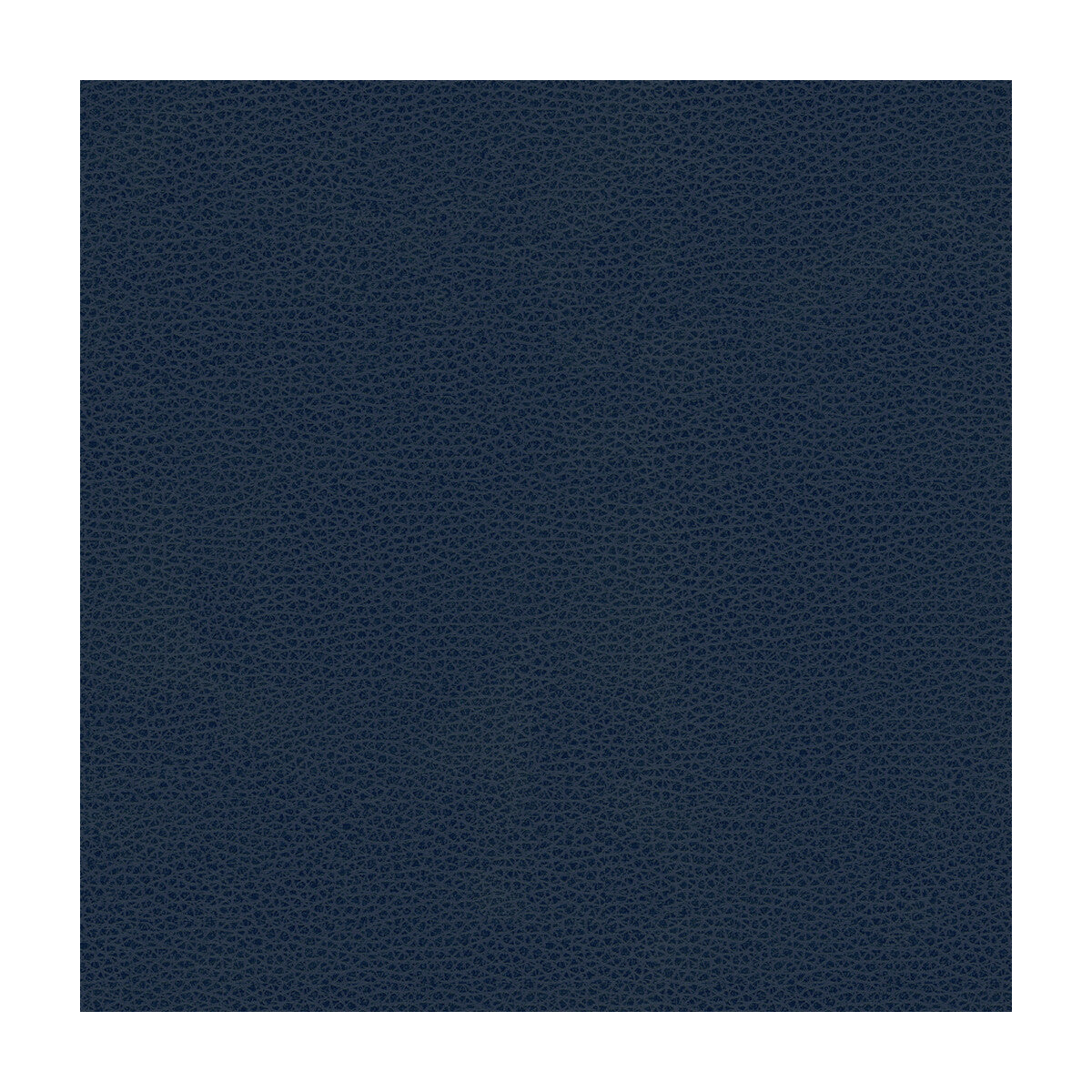 Kravet Contract-Bess-5