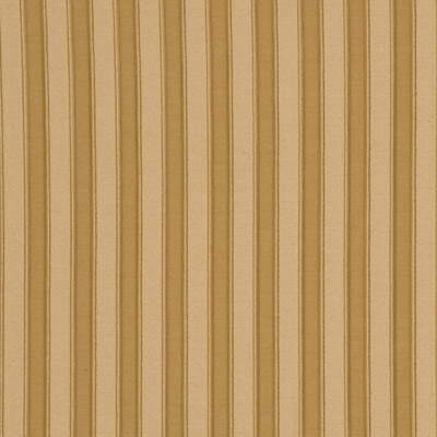 Pleated Stripe-Corn/Cream