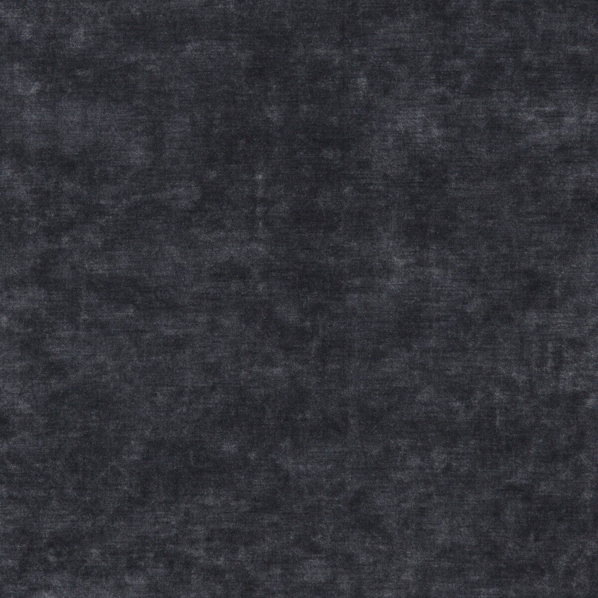 King's Velvet-Platinum