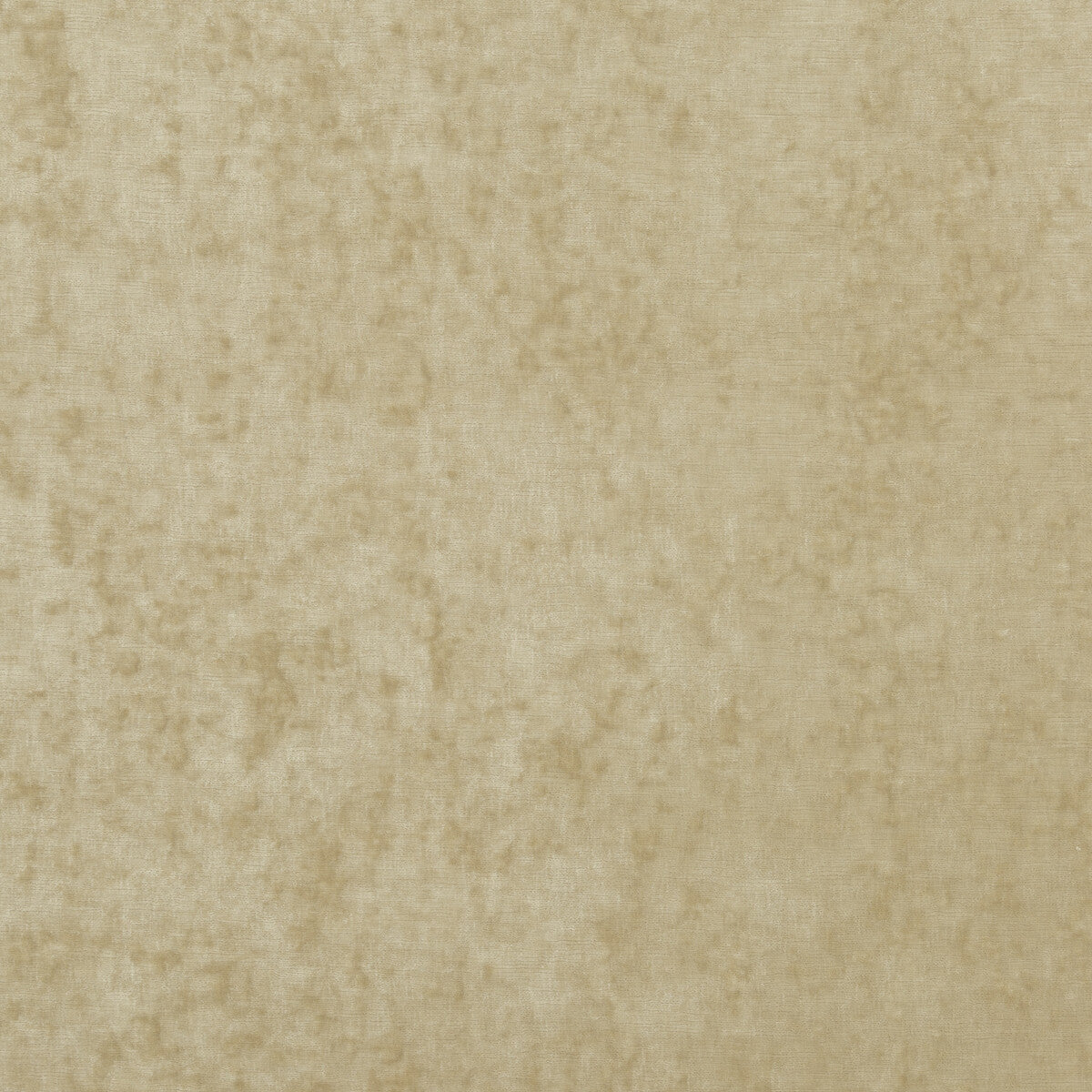 Vintage Velvet-Oyster