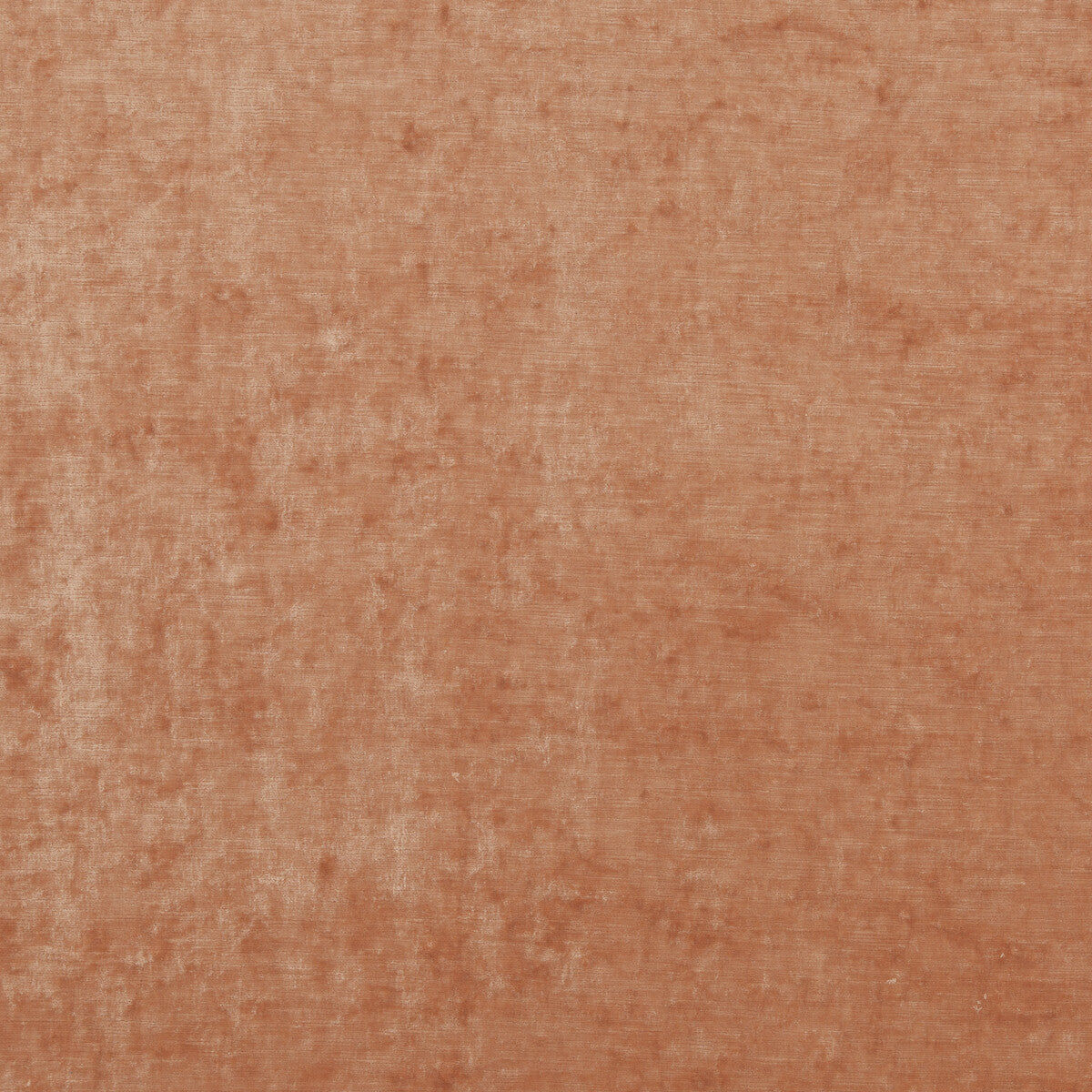Vintage Velvet-Pale Sienna