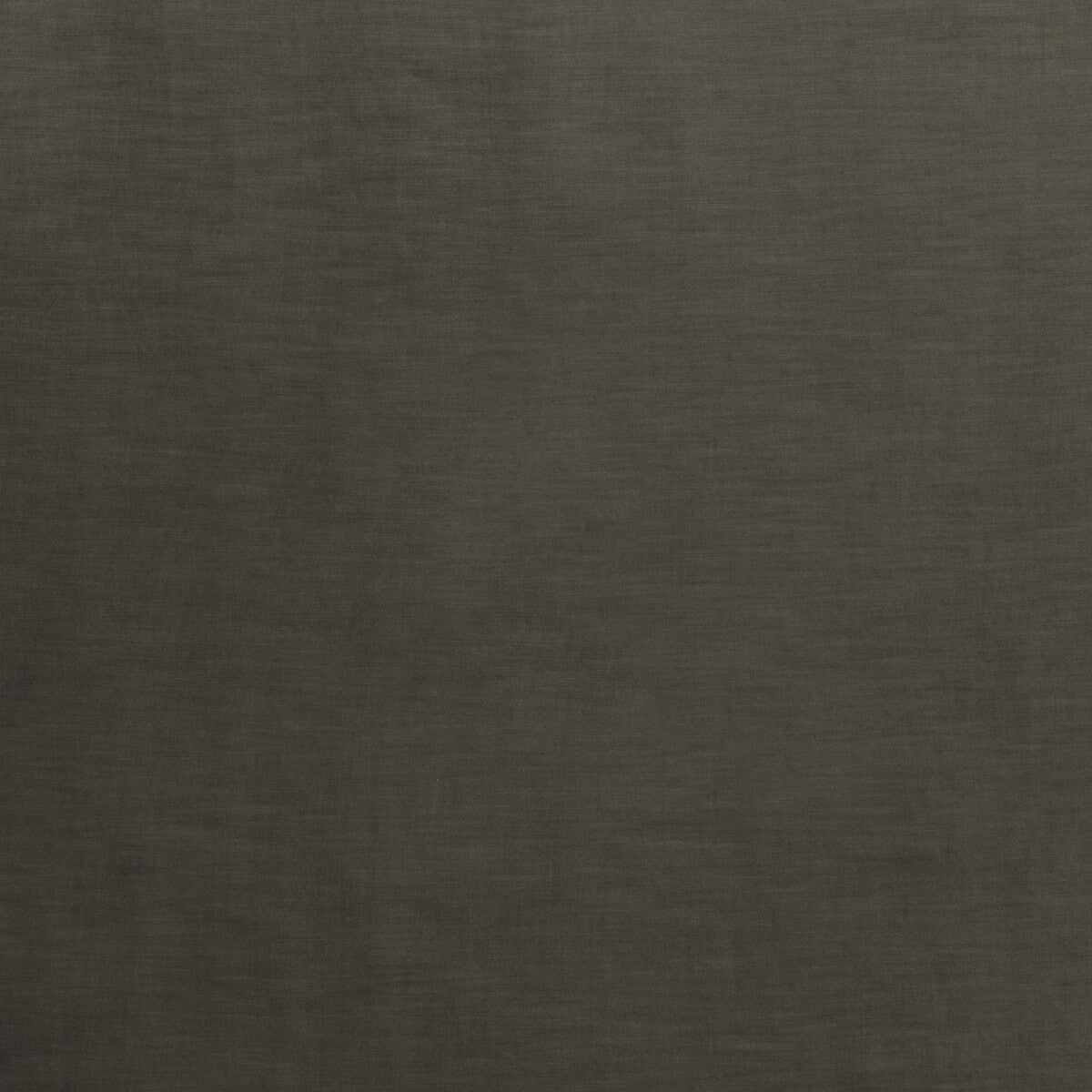 Coniston Velvet-Woodsmoke