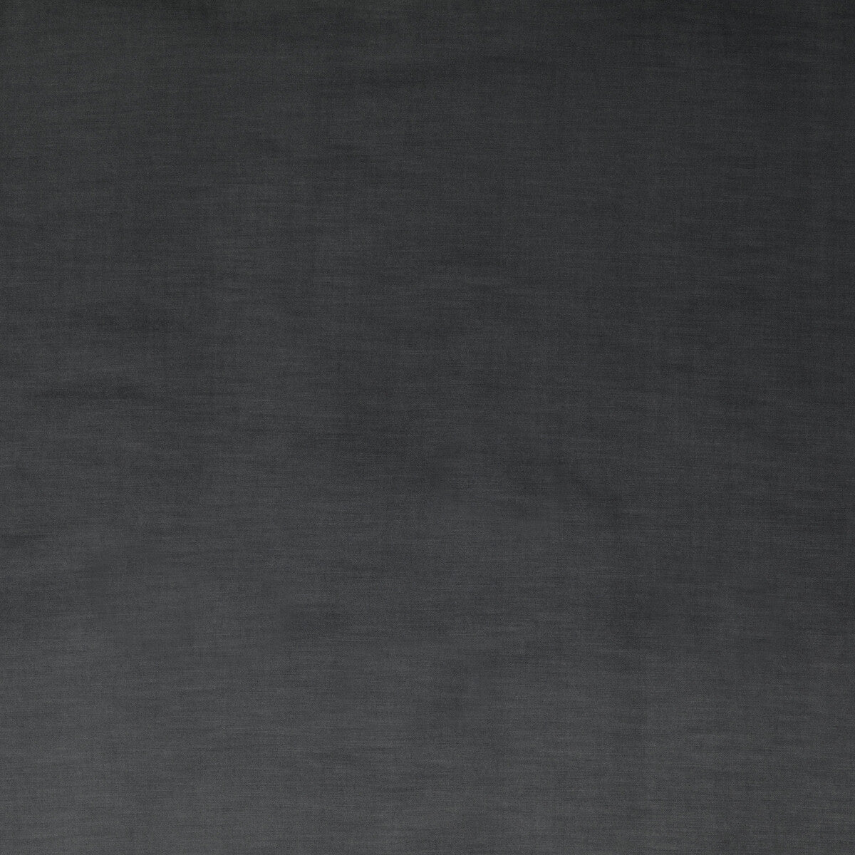 Coniston Velvet-Pigeon