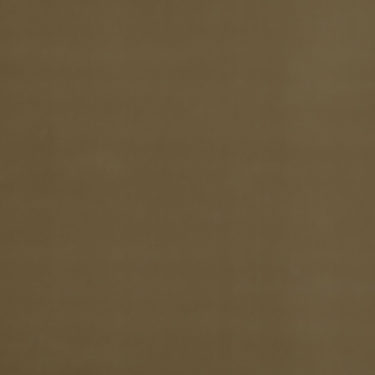 Baker House Velvet-Camel