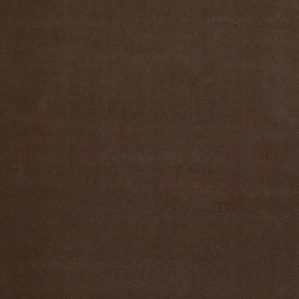 Baker House Velvet-Mink