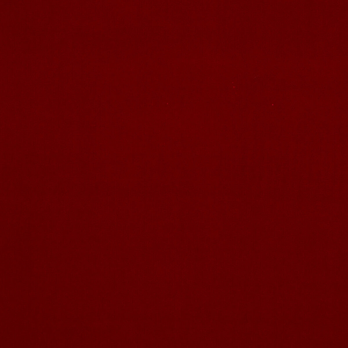 Baker House Velvet-Red