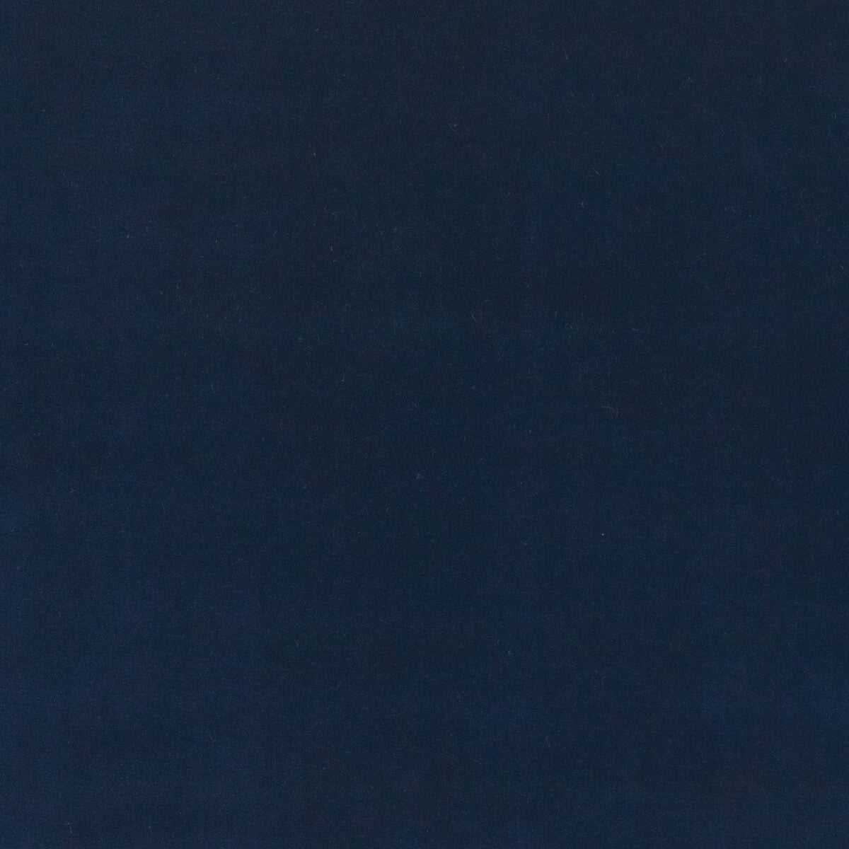 Baker House Velvet-Indigo