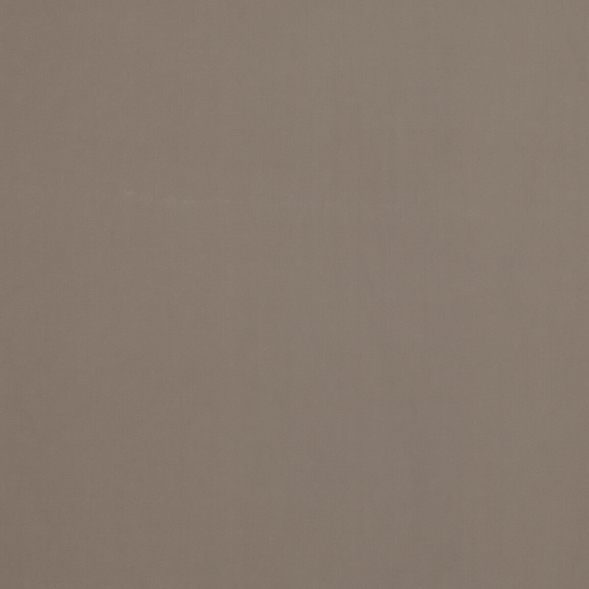 Baker House Velvet-Dove