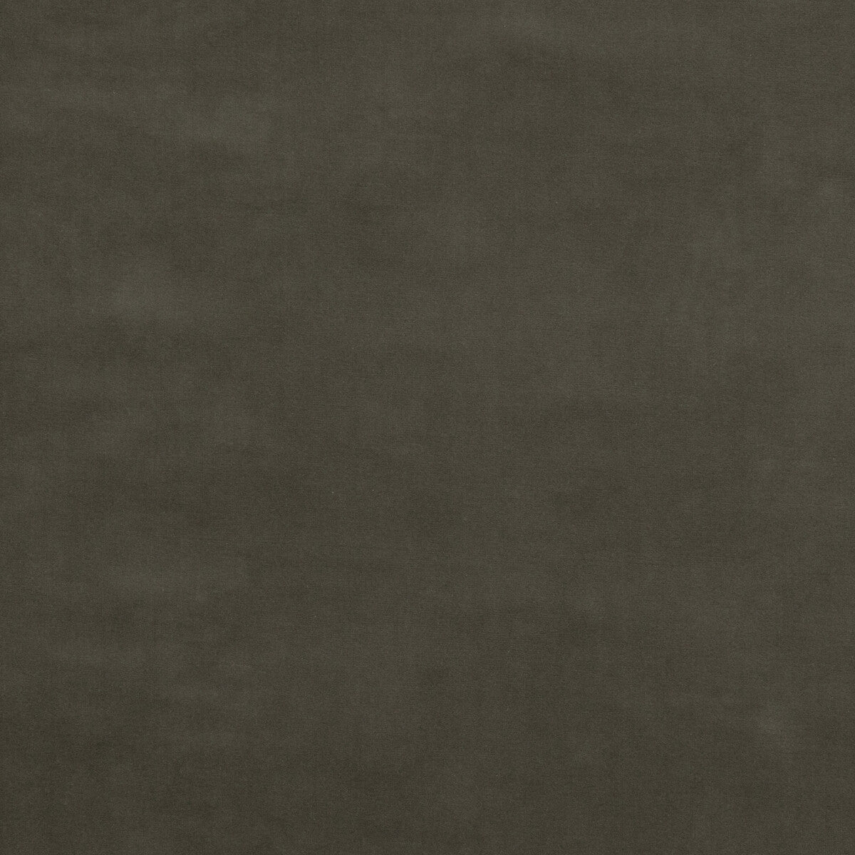 Baker House Velvet-Pigeon