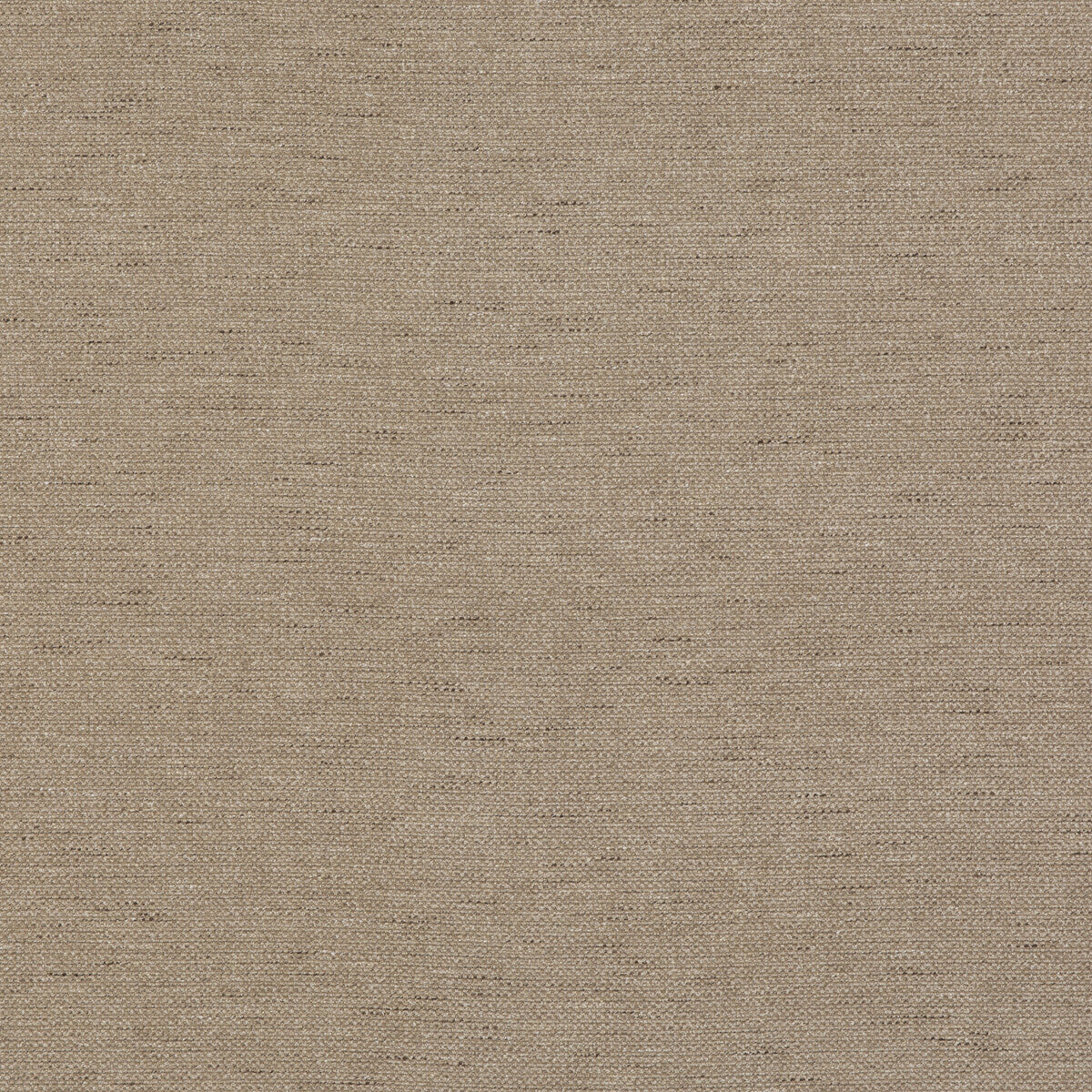 Pentridge-Nutmeg