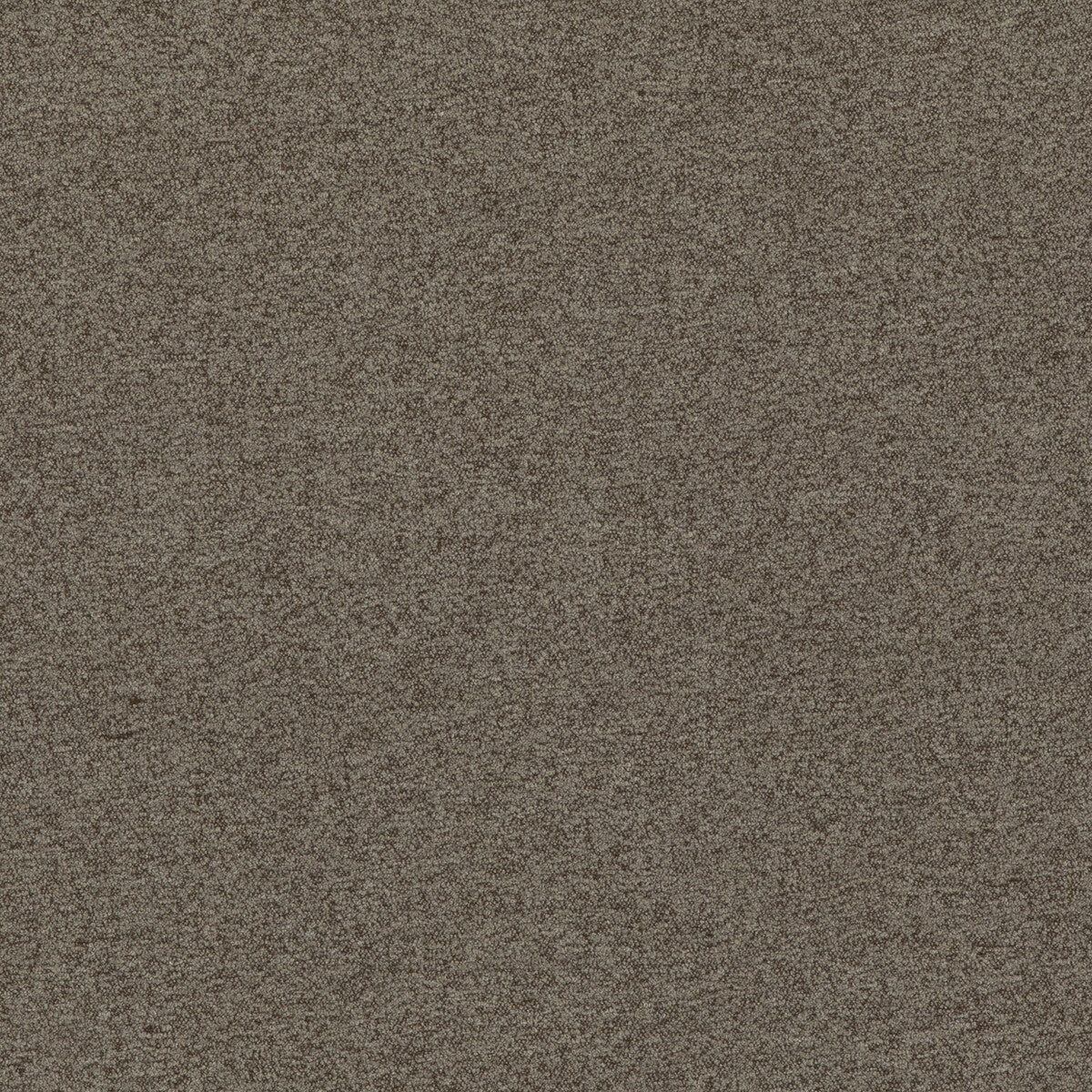 Baker House Boucle-Taupe