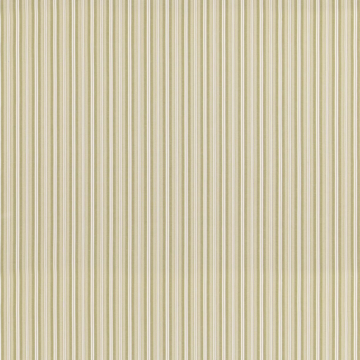 Laverton Stripe-Grass