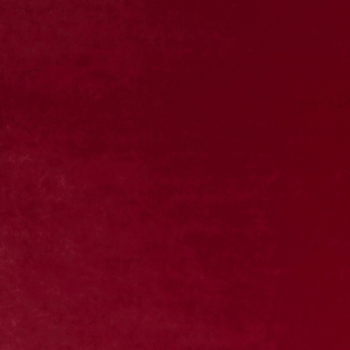 Court Velvet-Ruby