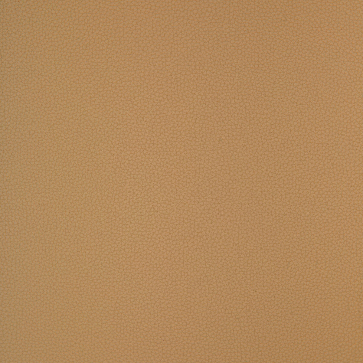 Kravet Design-Bind-116