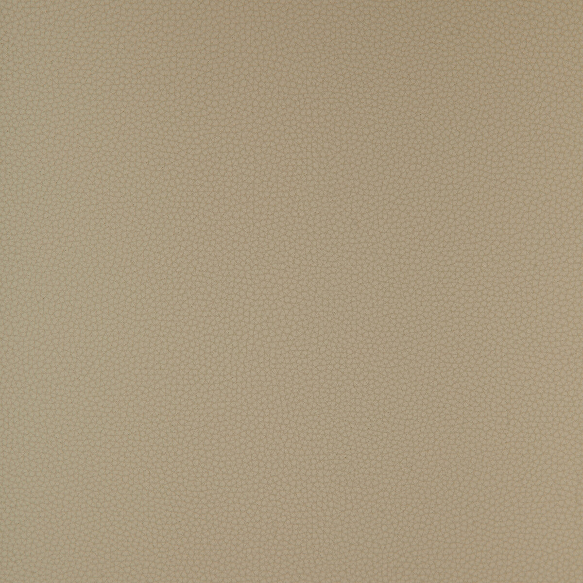 Kravet Design-Bind-11