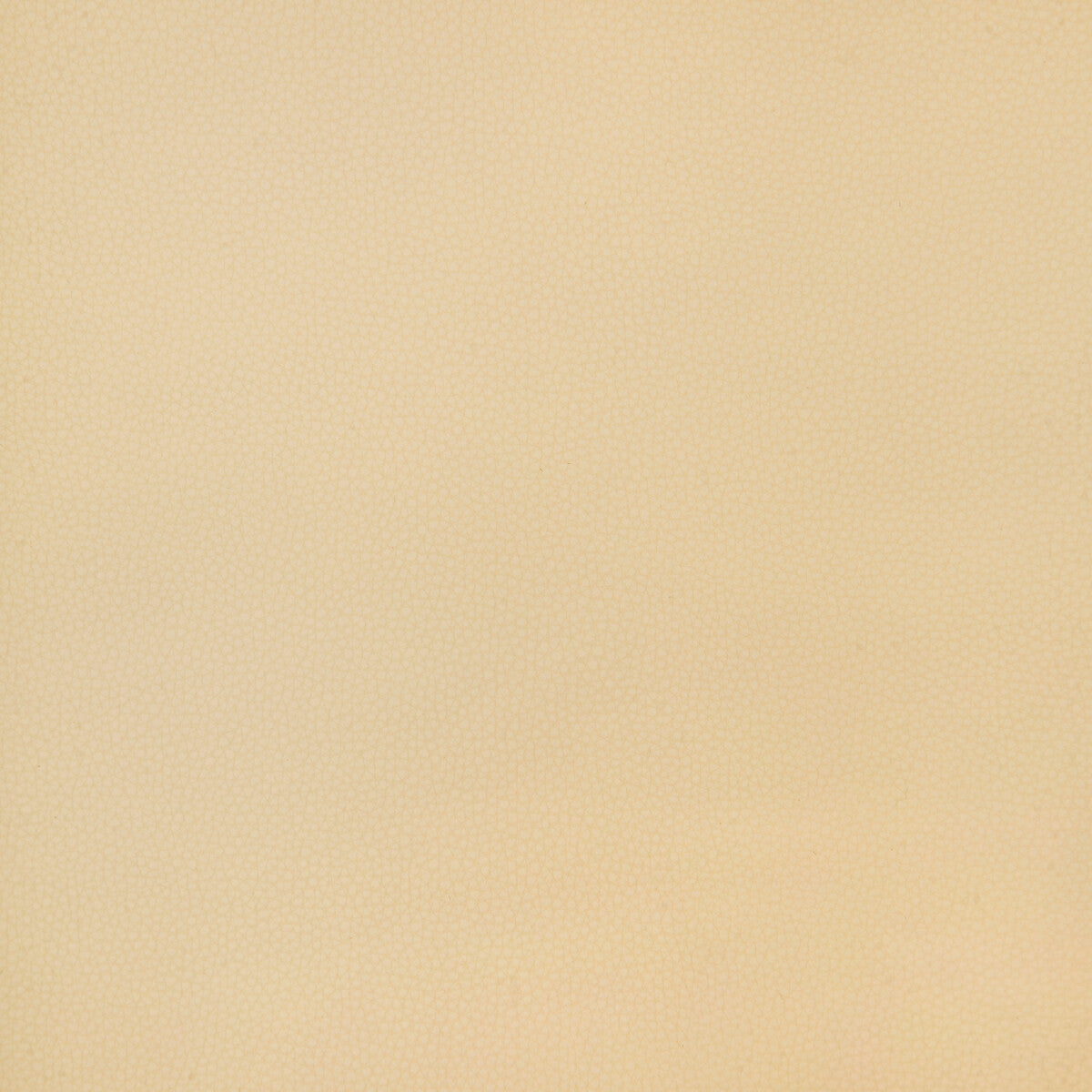 Kravet Design-Bind-16