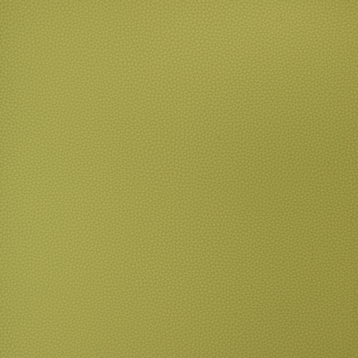 Kravet Design-Bind-23