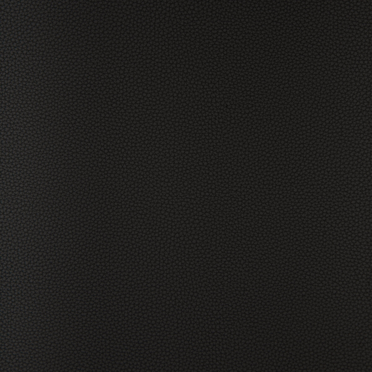 Kravet Design-Bind-811