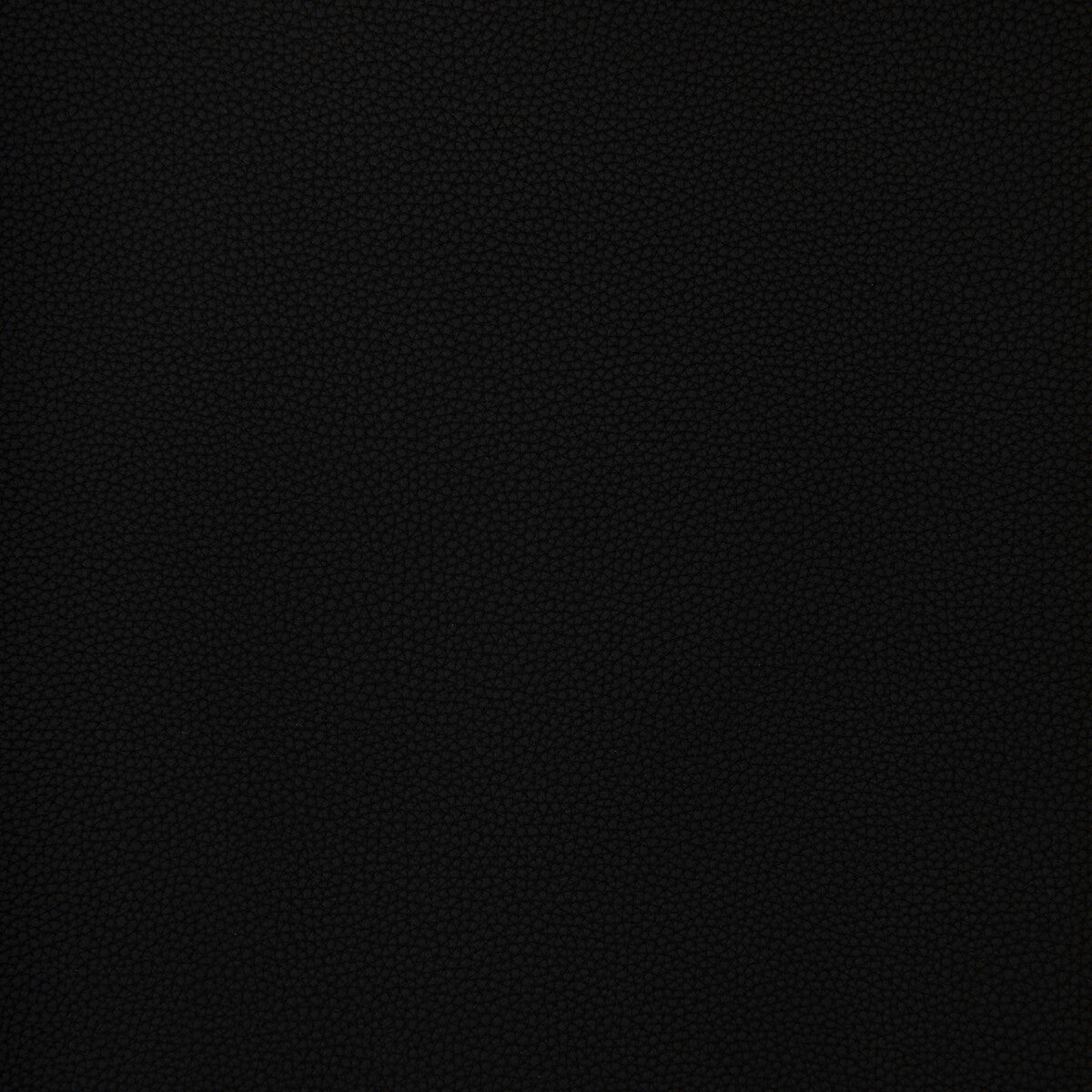 Kravet Design-Bind-8