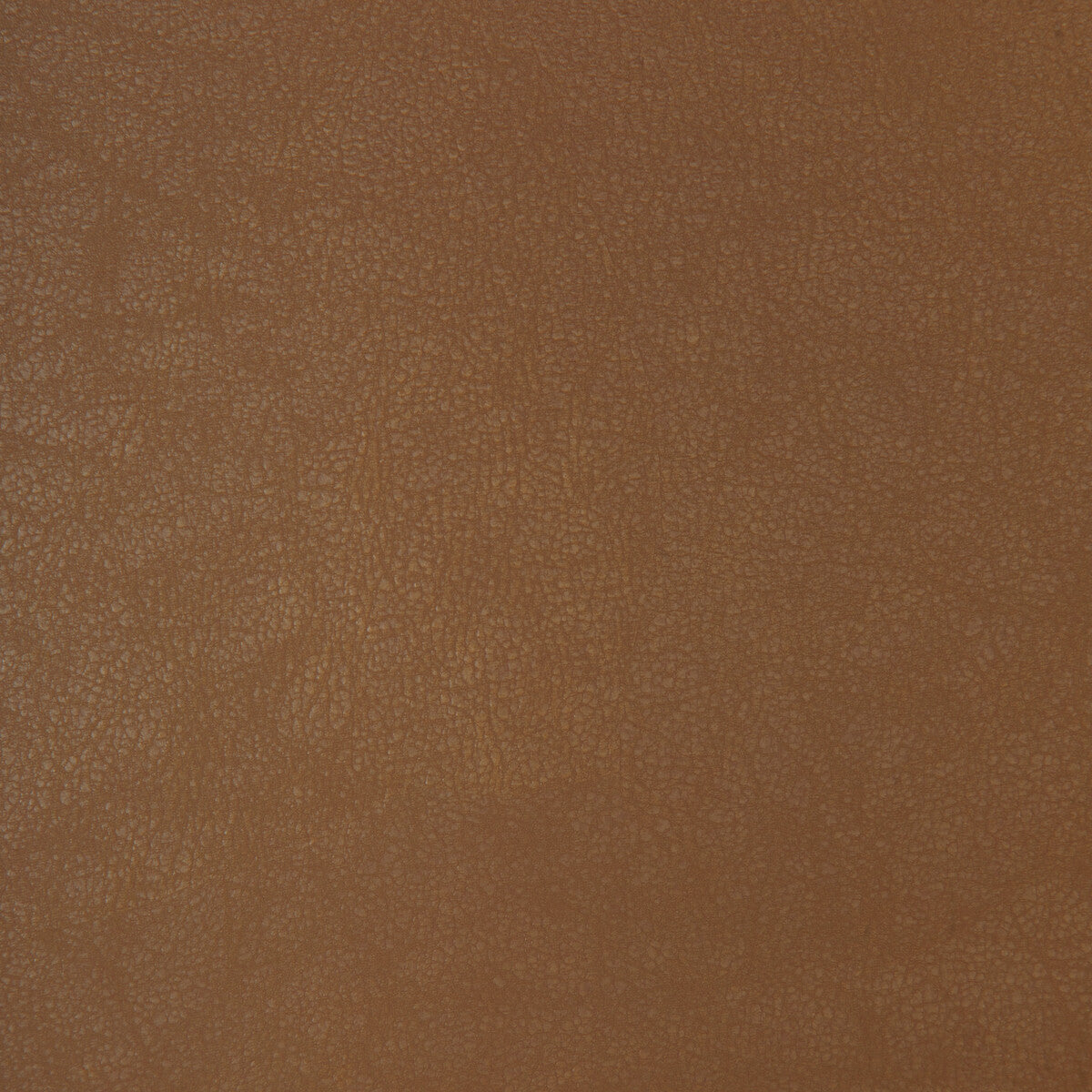 Kravet Design-Bond-6