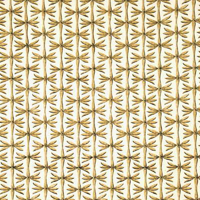 Firefly-Olive/Charcoal