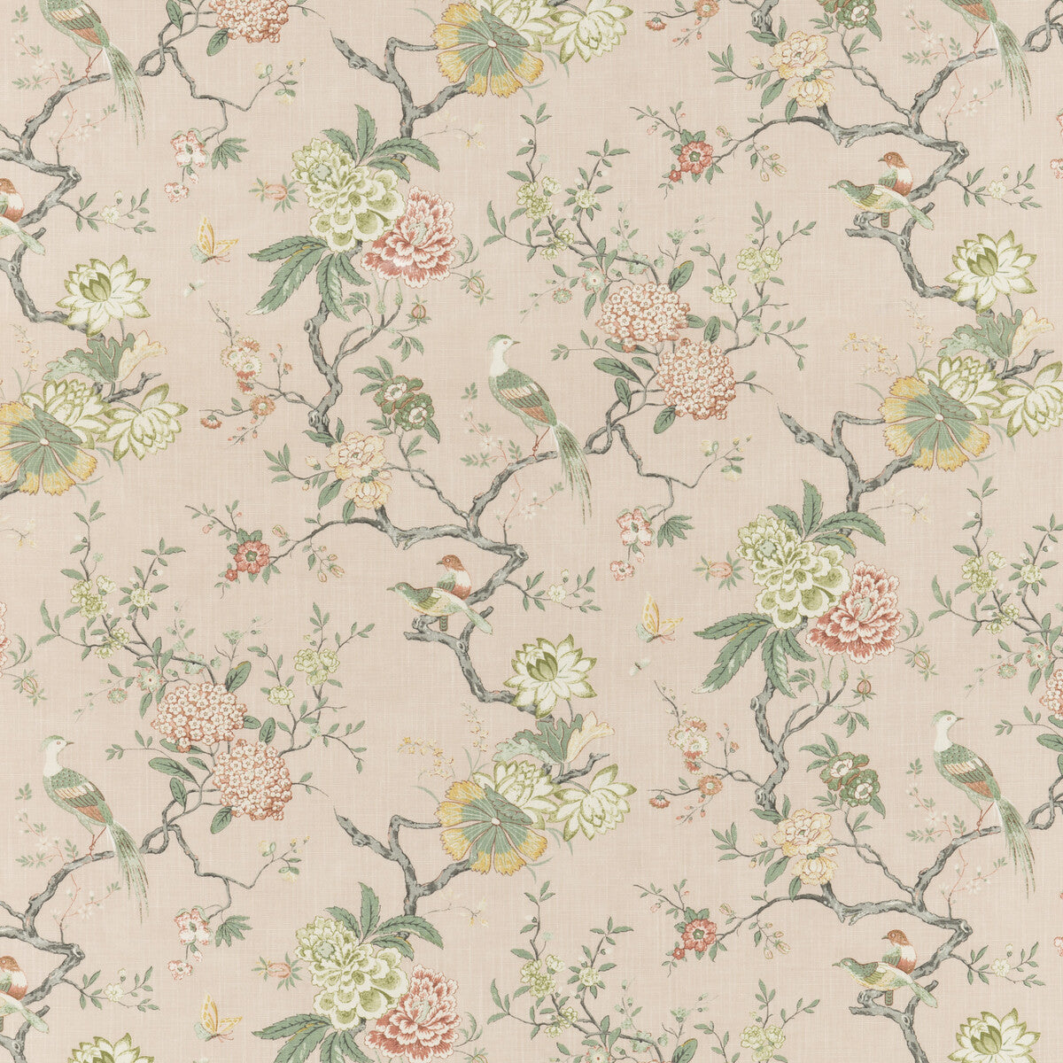 Oriental Bird Signature-Blush