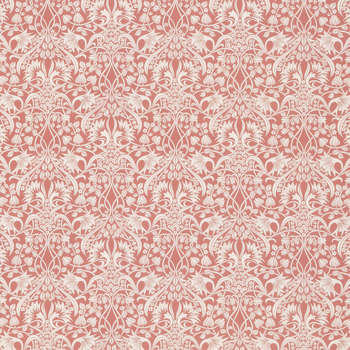 Fritillerie Cotton-Coral